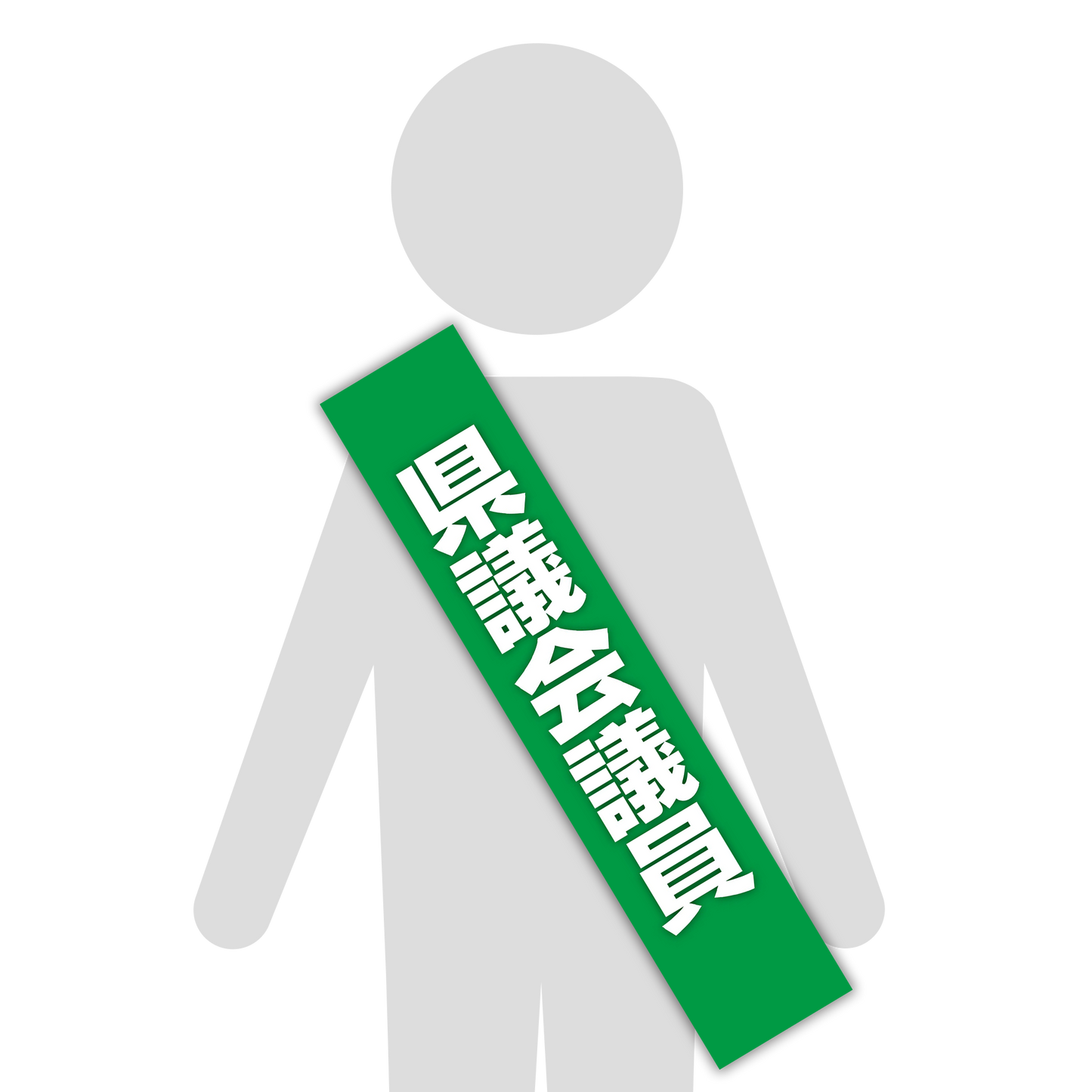 選挙たすき/県議会議員