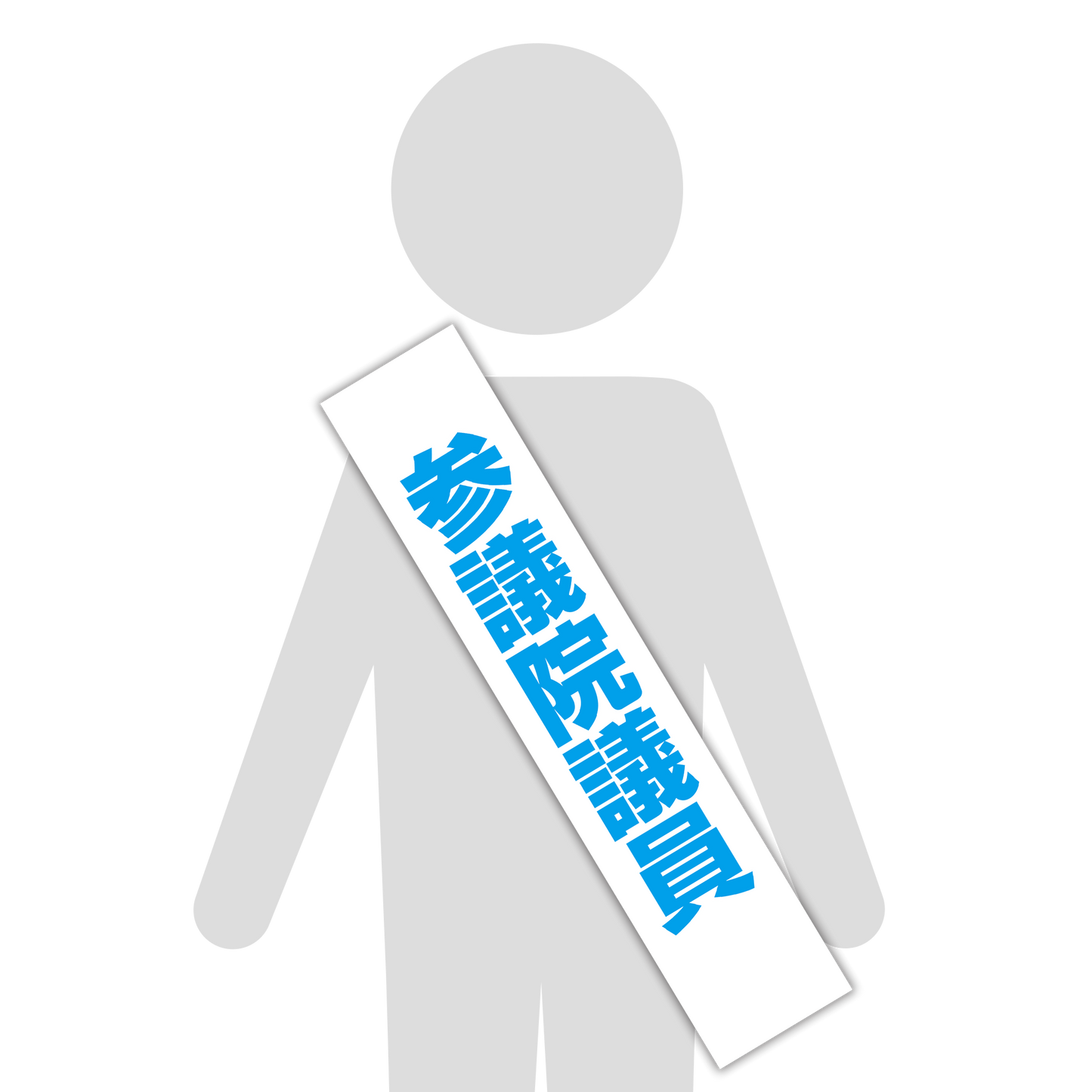 選挙たすき／参議院議員